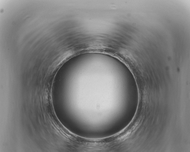 X0000088611401200706011216