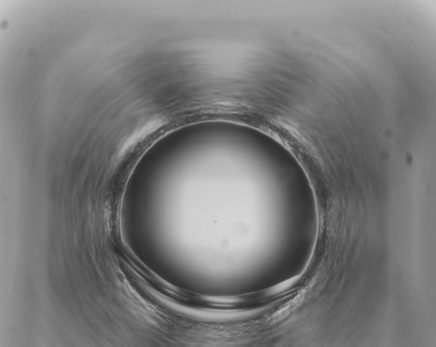 X0000088611402200706011216