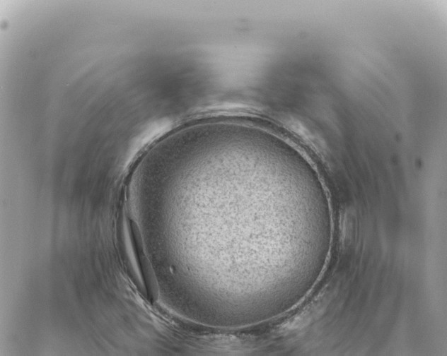 X0000088611405200706011216