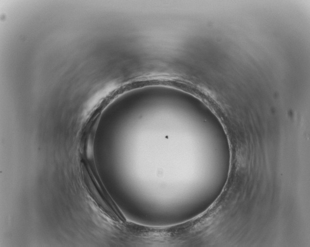 X0000088611406200706011216