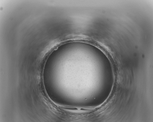 X0000088611407200706011216