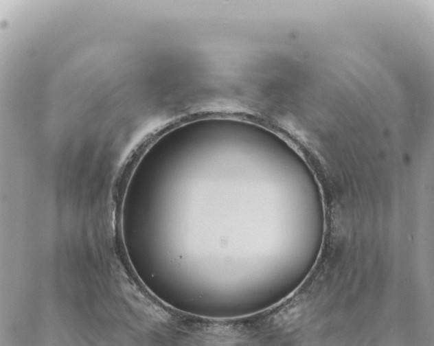 X0000088611408200706011216