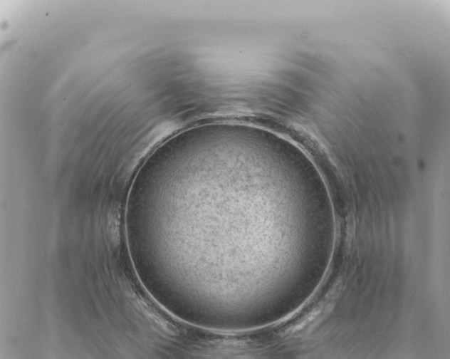 X0000088611409200706011216