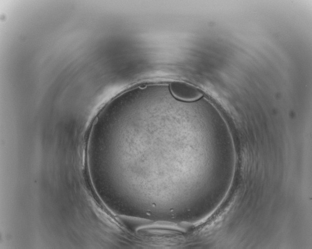 X0000088611413200706011216