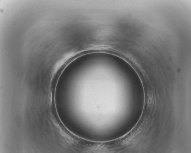 X0000088611414200706011216