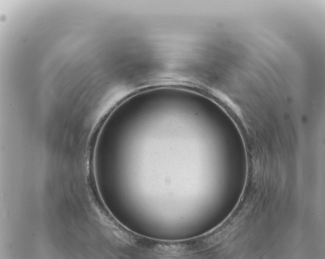 X0000088611415200706011216