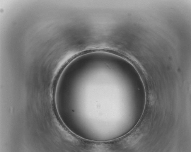 X0000088611416200706011216