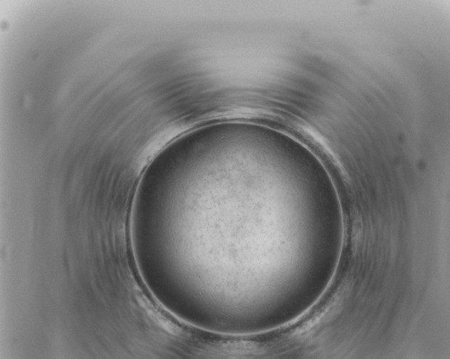 X0000088611417200706011216