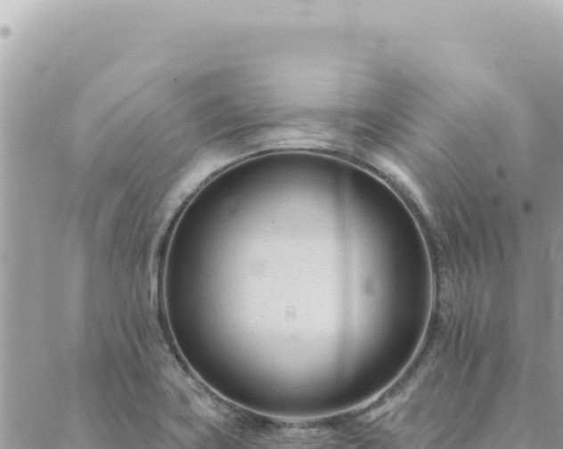 X0000088611419200706011216