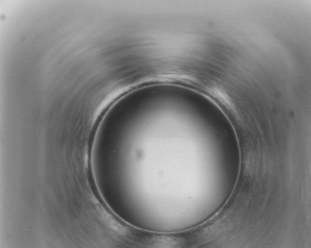 X0000088611420200706011216