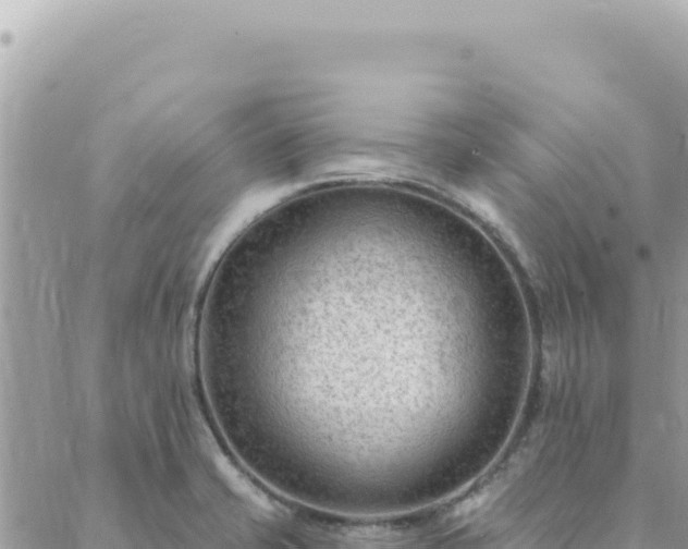 X0000088611421200706011216