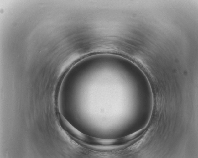 X0000088611422200706011216