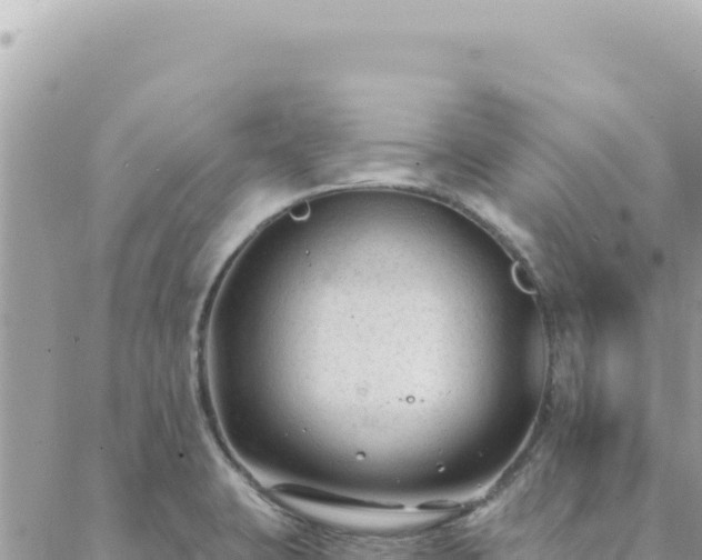 X0000088611423200706011216