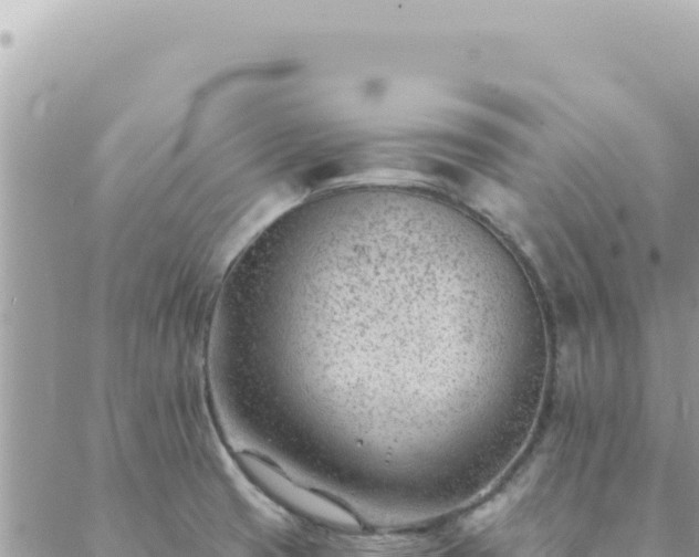 X0000088611425200706011216