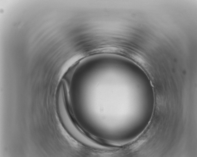 X0000088611426200706011216