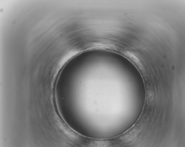 X0000088611427200706011216