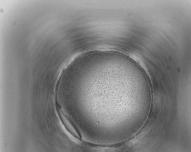 X0000088611429200706011216