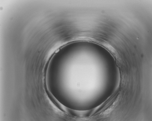 X0000088611430200706011216