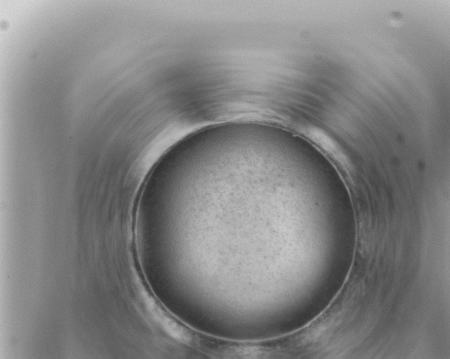 X0000088611431200706011216