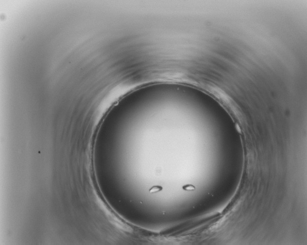 X0000088611432200706011216