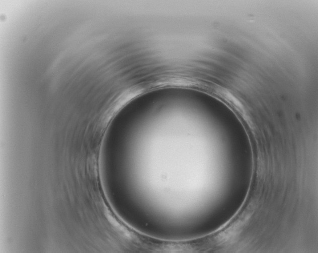 X0000088611433200706011216