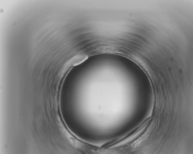 X0000088611434200706011216