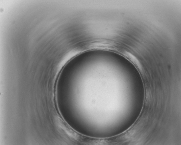 X0000088611435200706011216