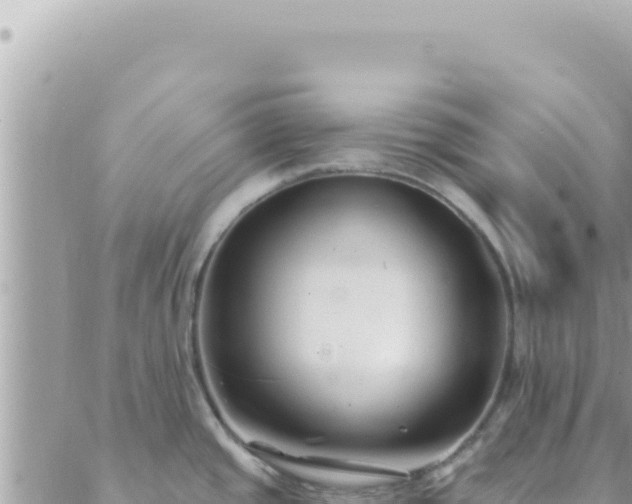 X0000088611437200706011216