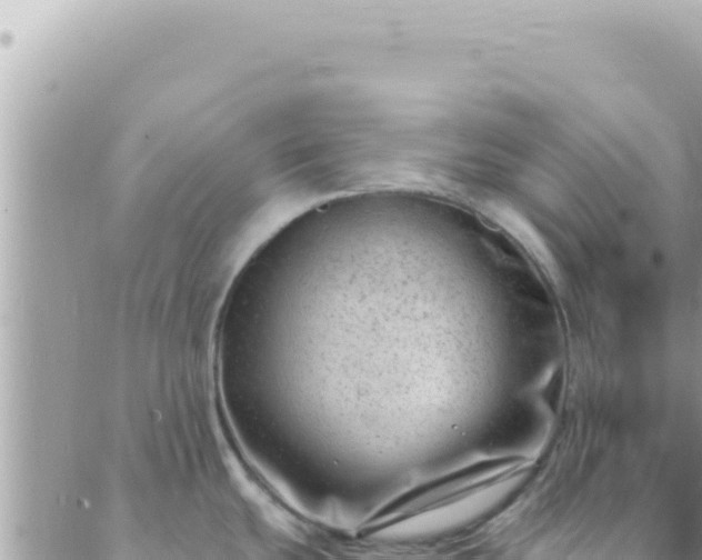 X0000088611439200706011216