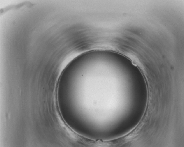 X0000088611440200706011216