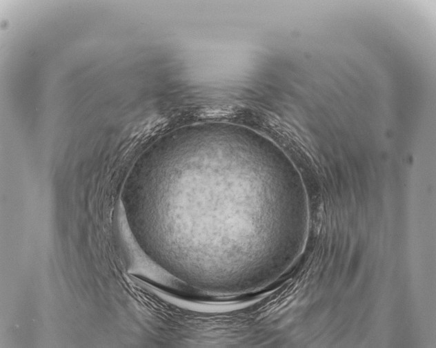 X0000088611441200706011216