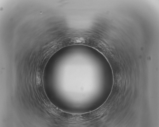 X0000088611442200706011216