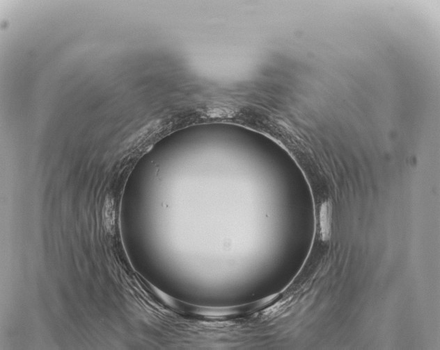 X0000088611443200706011216