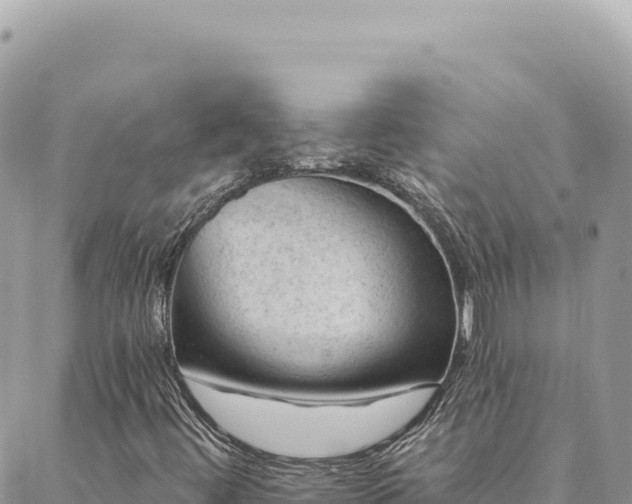 X0000088611444200706011216