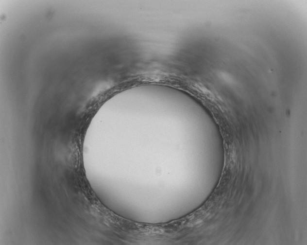 X0000088611446200706011216