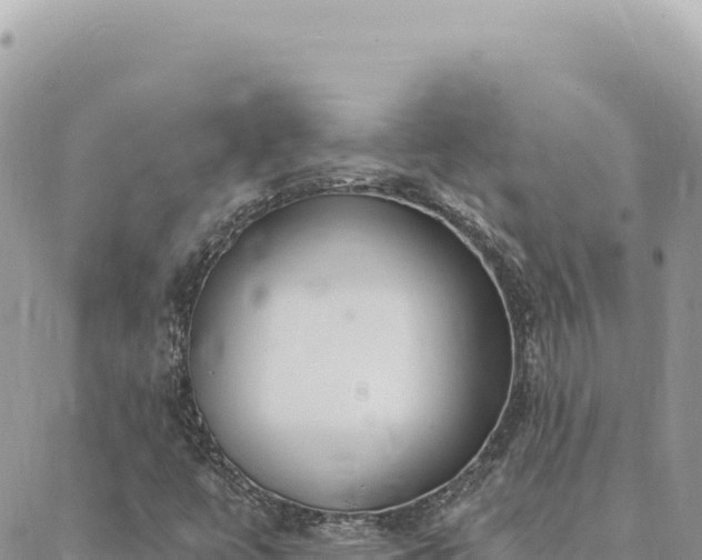 X0000088611447200706011216