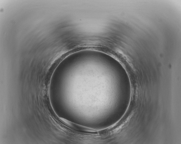 X0000088611449200706011216