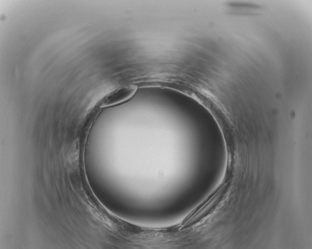 X0000088611450200706011216