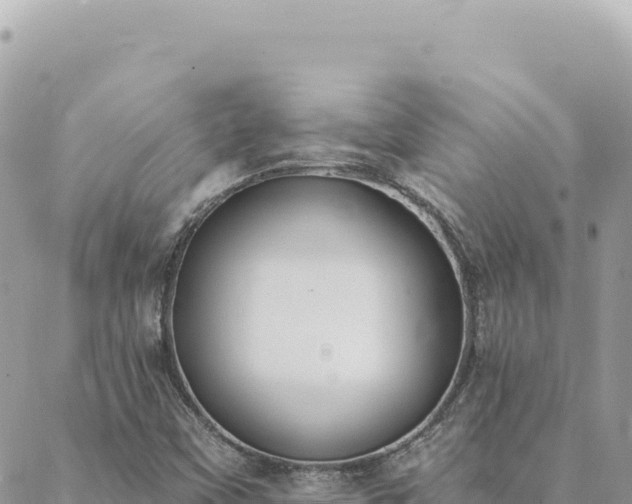 X0000088611451200706011215