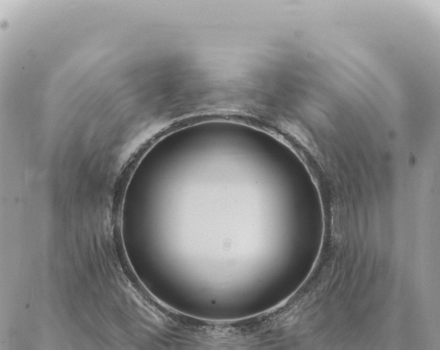 X0000088611452200706011215