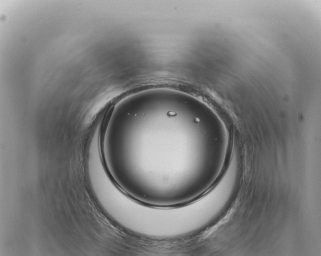 X0000088611453200706011215