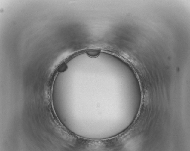 X0000088611454200706011215