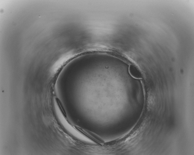 X0000088611455200706011215