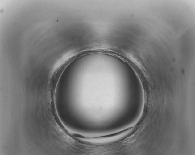 X0000088611456200706011215