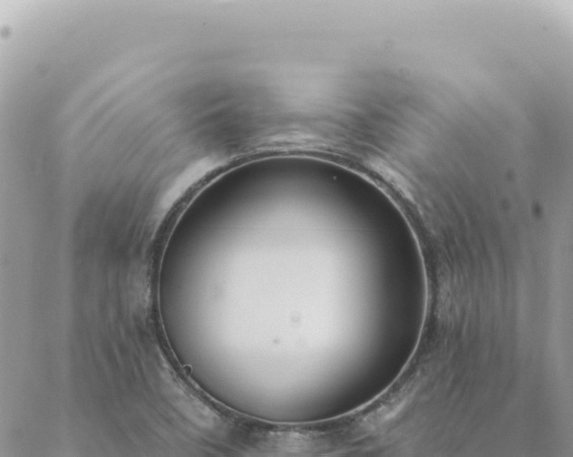 X0000088611458200706011215