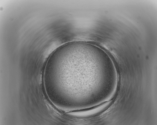 X0000088611459200706011215