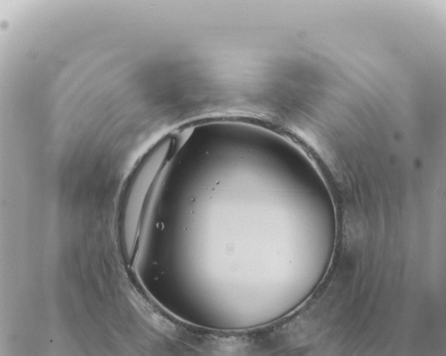 X0000088611460200706011215