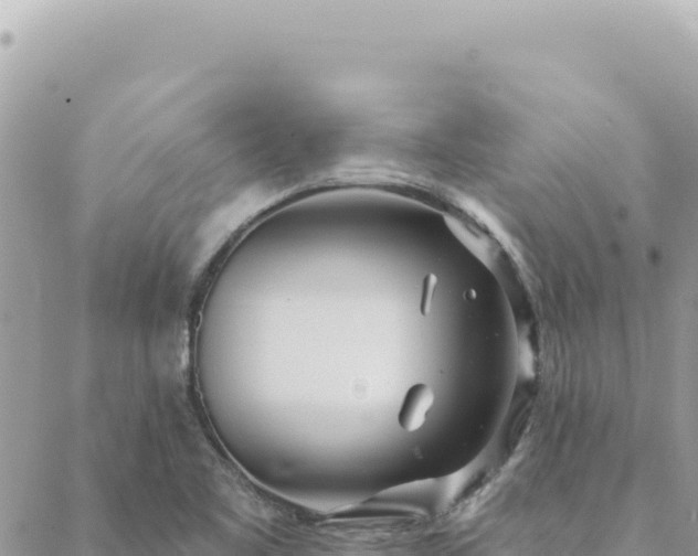 X0000088611461200706011215