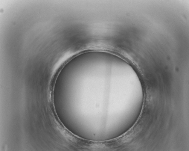 X0000088611462200706011215