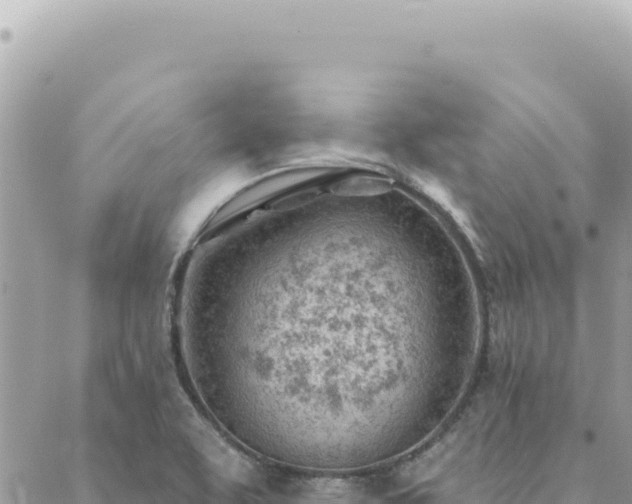 X0000088611463200706011215